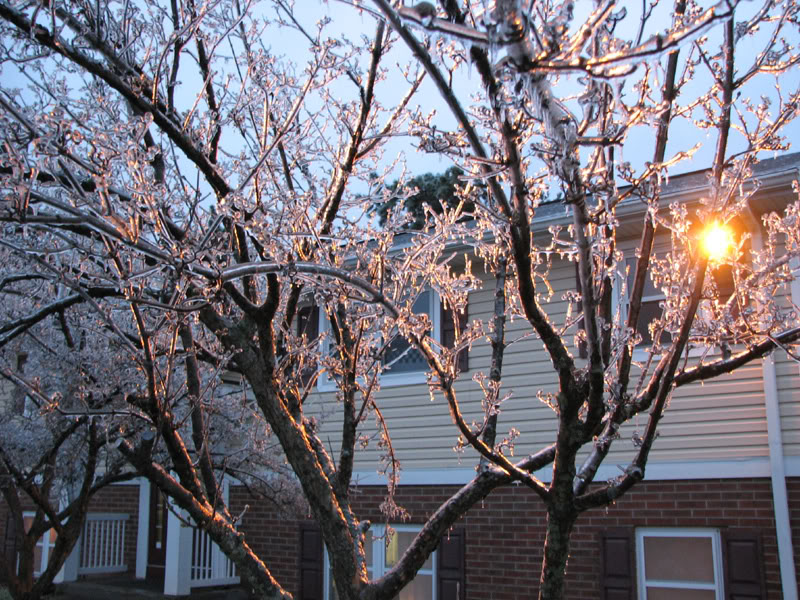 Name:  IMG_0085.jpg
Views: 29
Size:  184.1 KB