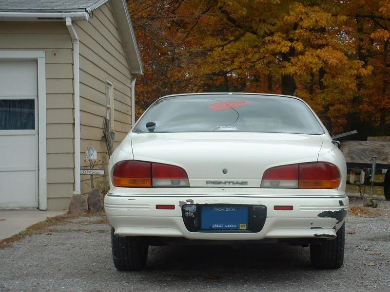 Name:  Back1.jpg
Views: 43
Size:  73.0 KB