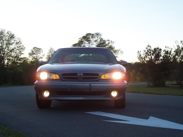 Name:  100_005.jpg
Views: 26
Size:  42.9 KB