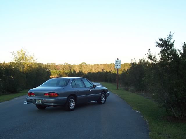 Name:  100_011.jpg
Views: 29
Size:  37.4 KB