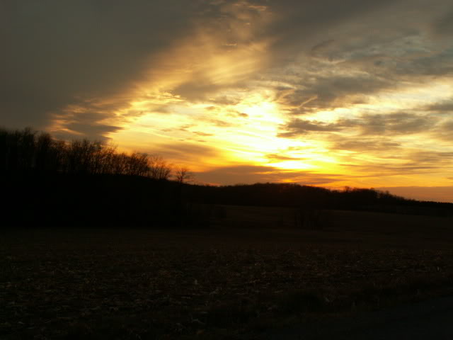 Name:  PICT0005-1.jpg
Views: 28
Size:  61.0 KB