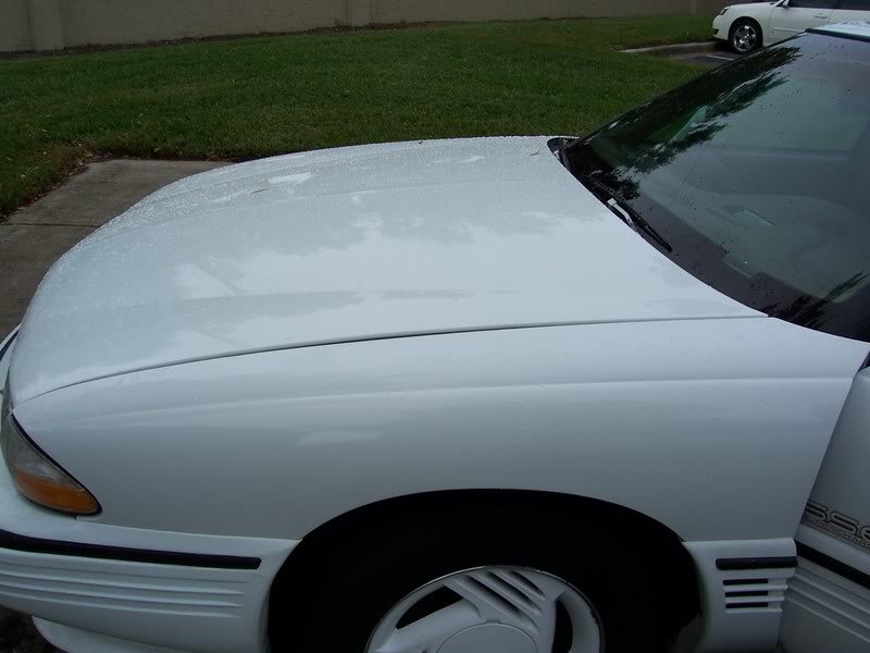 Name:  100_1653.jpg
Views: 64
Size:  52.4 KB