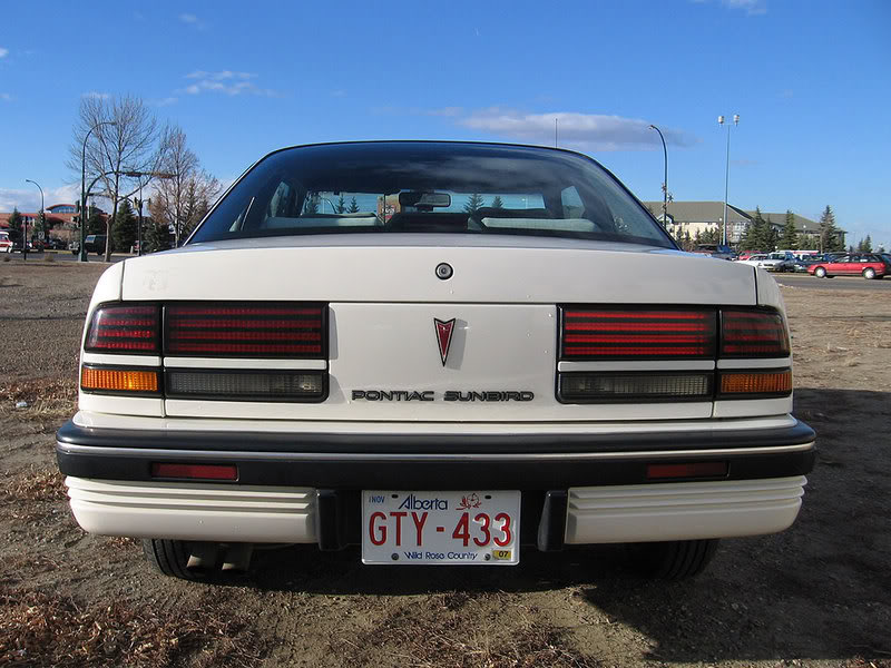 Name:  Back-2.jpg
Views: 46
Size:  96.7 KB