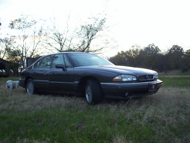 Name: 000_1156.jpg
Views: 24
Size: 101.2 KB