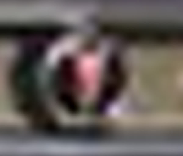 Name:  Untitled-1copy.jpg
Views: 33
Size:  16.8 KB