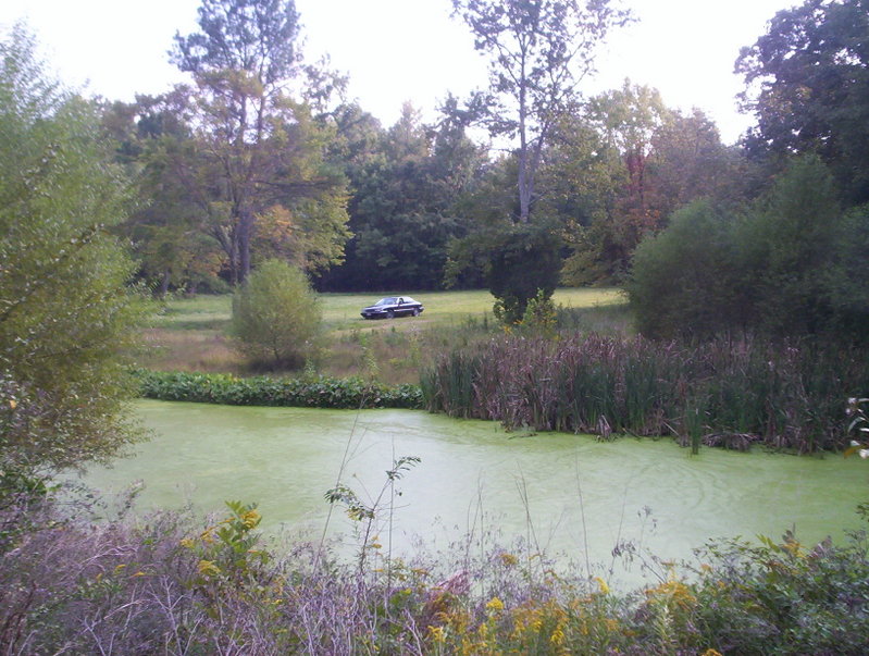 Name:  000_1105.jpg
Views: 61
Size:  134.5 KB