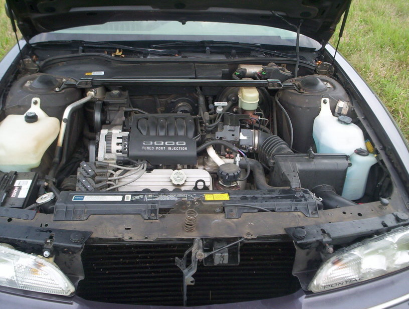 Name:  000_0948.jpg
Views: 31
Size:  118.5 KB