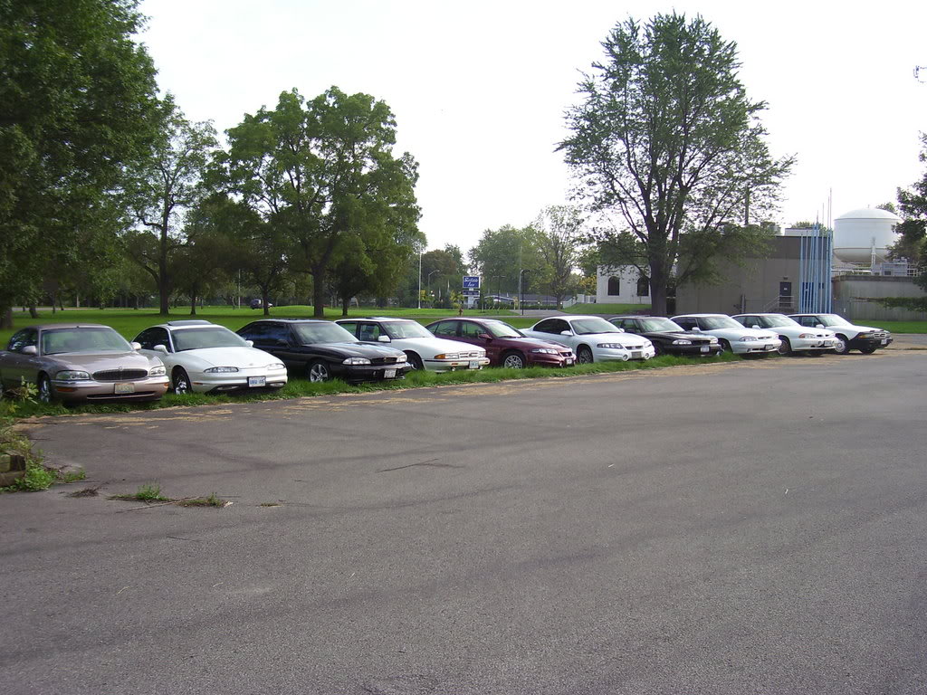 Name:  todistribute2029.jpg
Views: 36
Size:  179.7 KB