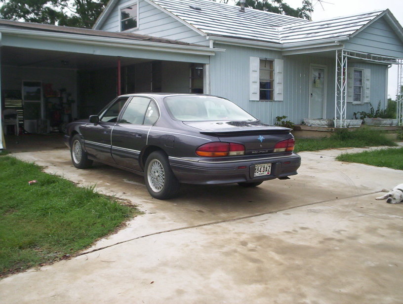 Name:  000_1043.jpg
Views: 29
Size:  111.0 KB