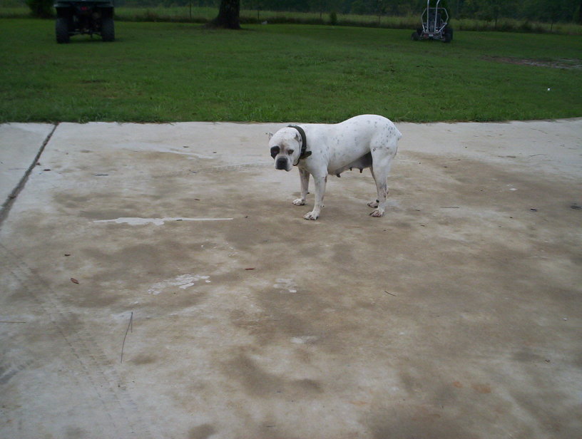 Name:  000_1055.jpg
Views: 20
Size:  79.0 KB