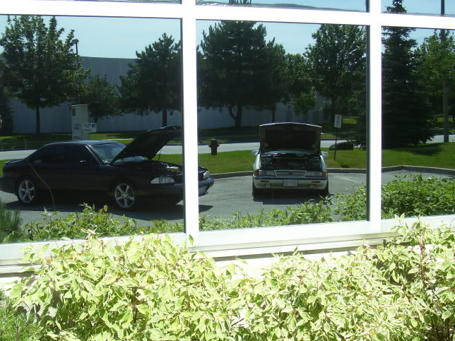 Name:  GTAmeet003.jpg
Views: 42
Size:  93.8 KB