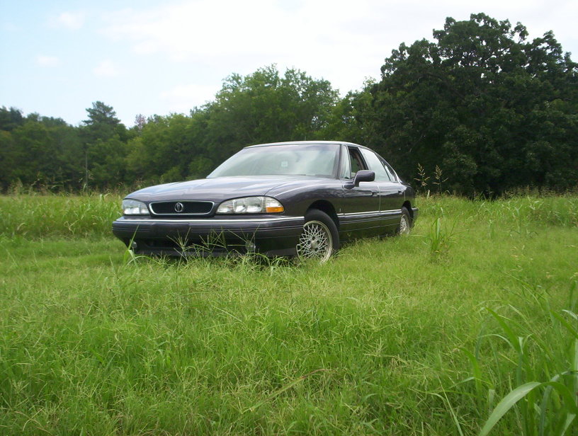 Name:  000_0993.jpg
Views: 123
Size:  131.0 KB