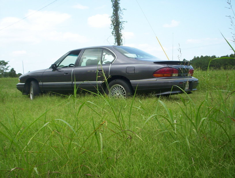 Name:  000_0996.jpg
Views: 128
Size:  117.5 KB
