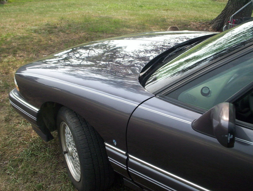 Name:  000_0982.jpg
Views: 40
Size:  130.8 KB