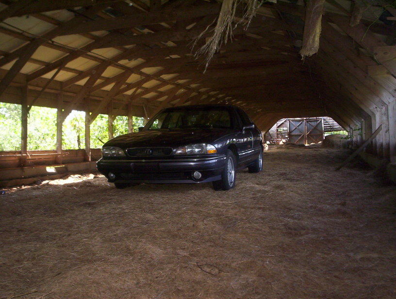Name:  000_0950.jpg
Views: 131
Size:  112.1 KB
