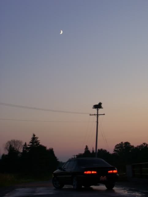 Name:  Vacation137.jpg
Views: 53
Size:  17.6 KB