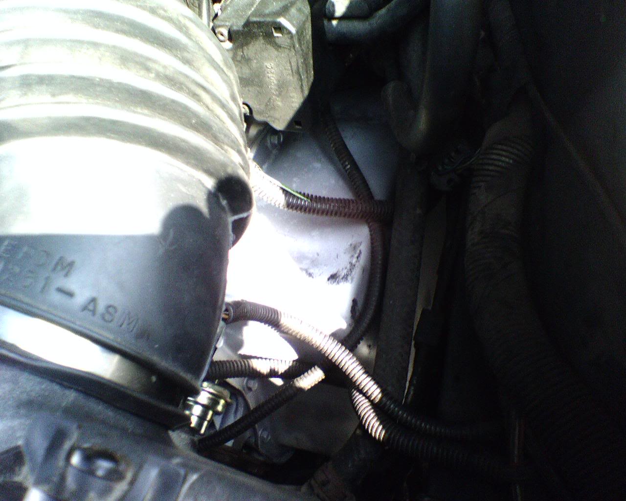 Name:  IMG00213.jpg
Views: 38
Size:  127.2 KB