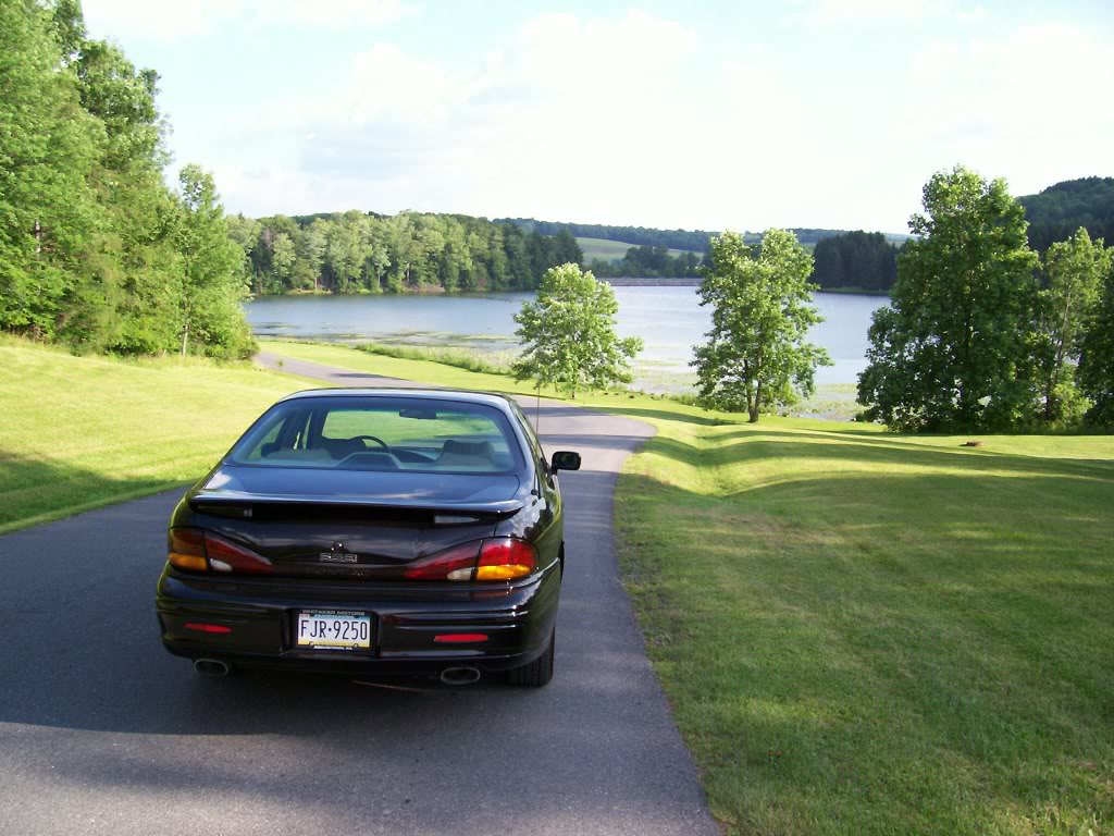 Name:  100_0054.jpg
Views: 45
Size:  142.8 KB