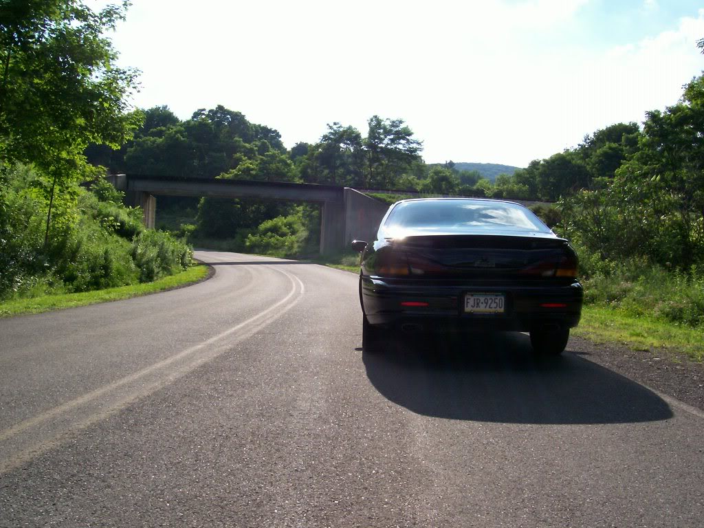 Name:  100_0050.jpg
Views: 48
Size:  161.0 KB