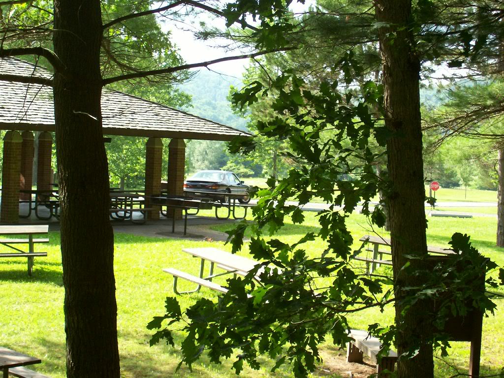 Name:  100_0044.jpg
Views: 44
Size:  212.2 KB