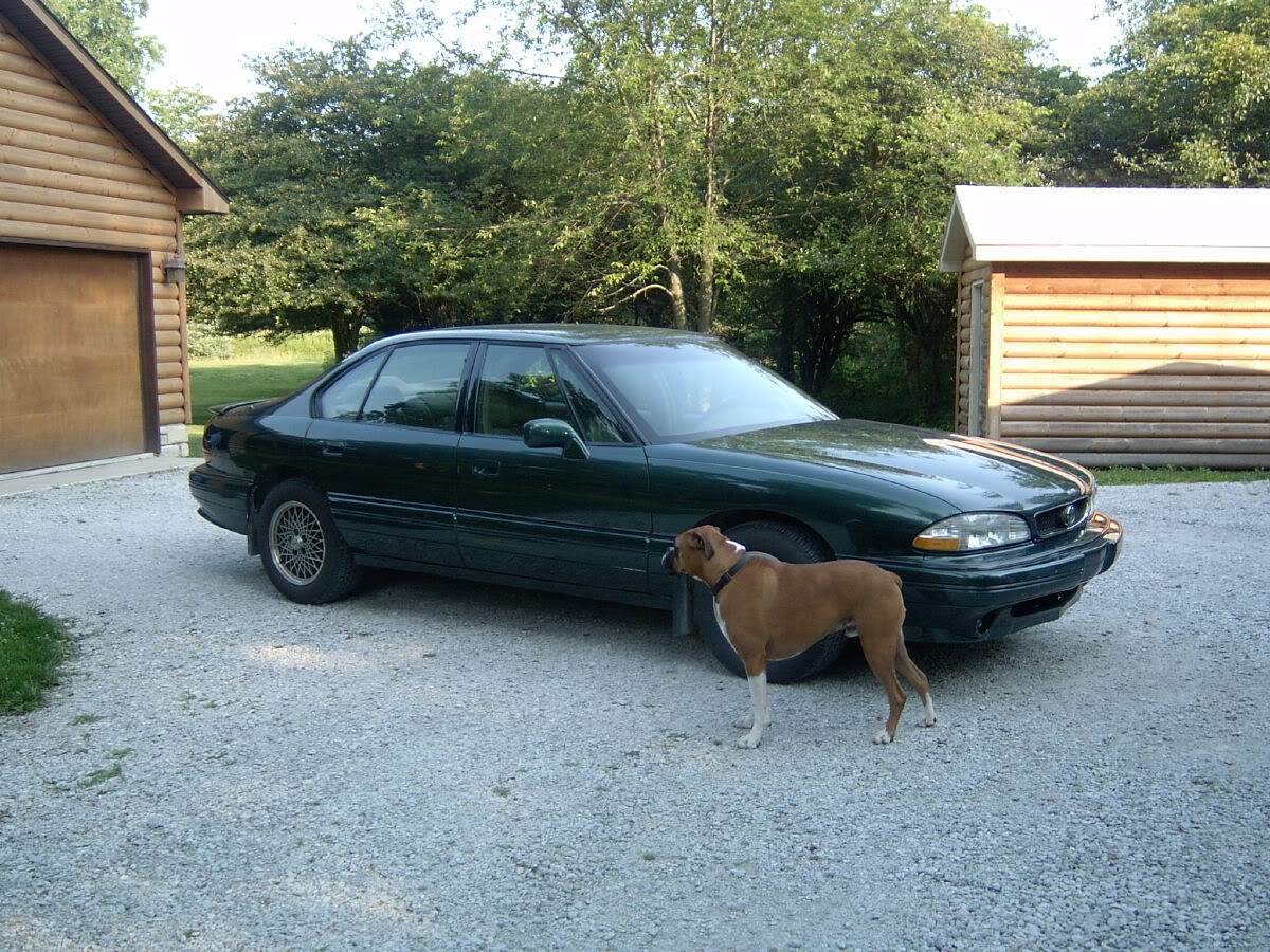 Name: IM000918.jpg
Views: 34
Size: 268.9 KB