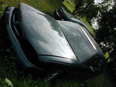 Name: P1011163.jpg
Views: 89
Size: 28.4 KB