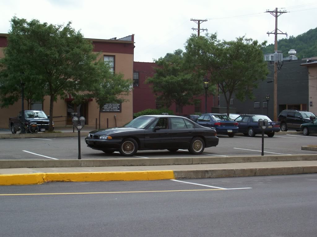 Name:  000_0261.jpg
Views: 31
Size:  117.3 KB