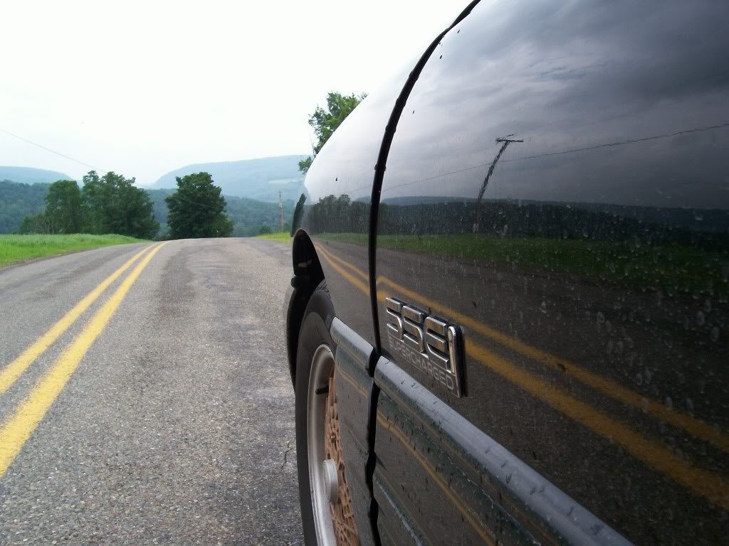 Name:  000_0251.jpg
Views: 29
Size:  113.9 KB