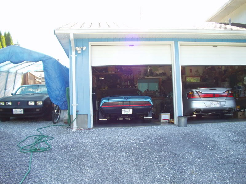 Name:  June23-06016.jpg
Views: 140
Size:  89.4 KB