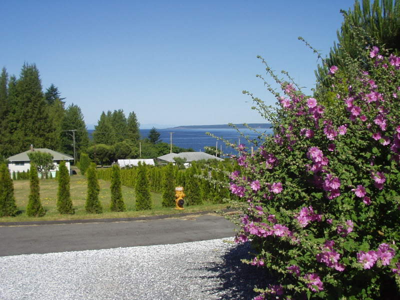 Name:  June23-06014.jpg
Views: 136
Size:  90.0 KB