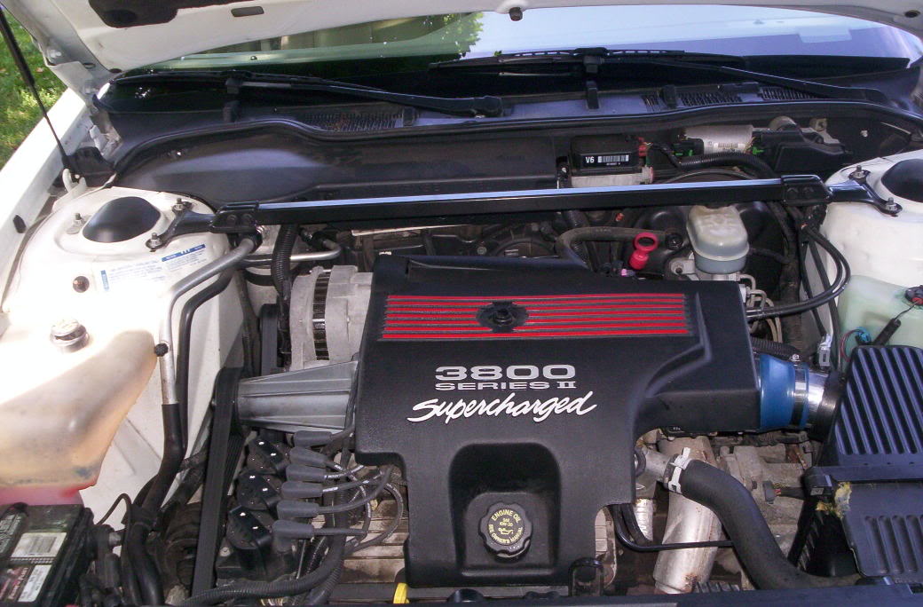 Name:  000_0164.jpg
Views: 54
Size:  118.6 KB