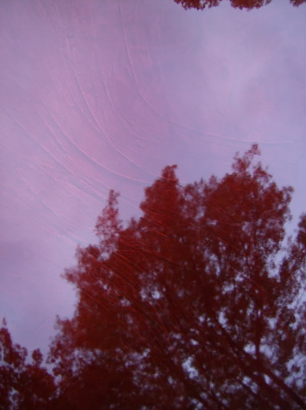 Name:  HPIM0186.jpg
Views: 27
Size:  48.9 KB