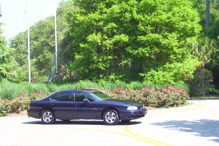 Name:  Picture019.jpg
Views: 39
Size:  388.2 KB