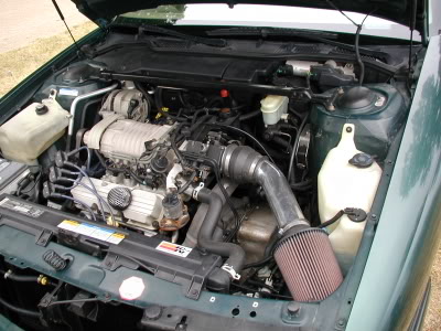Name:  P1011147.jpg
Views: 71
Size:  38.5 KB
