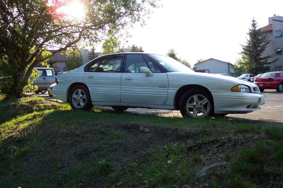 Name:  f0cee035.jpg
Views: 26
Size:  199.5 KB
