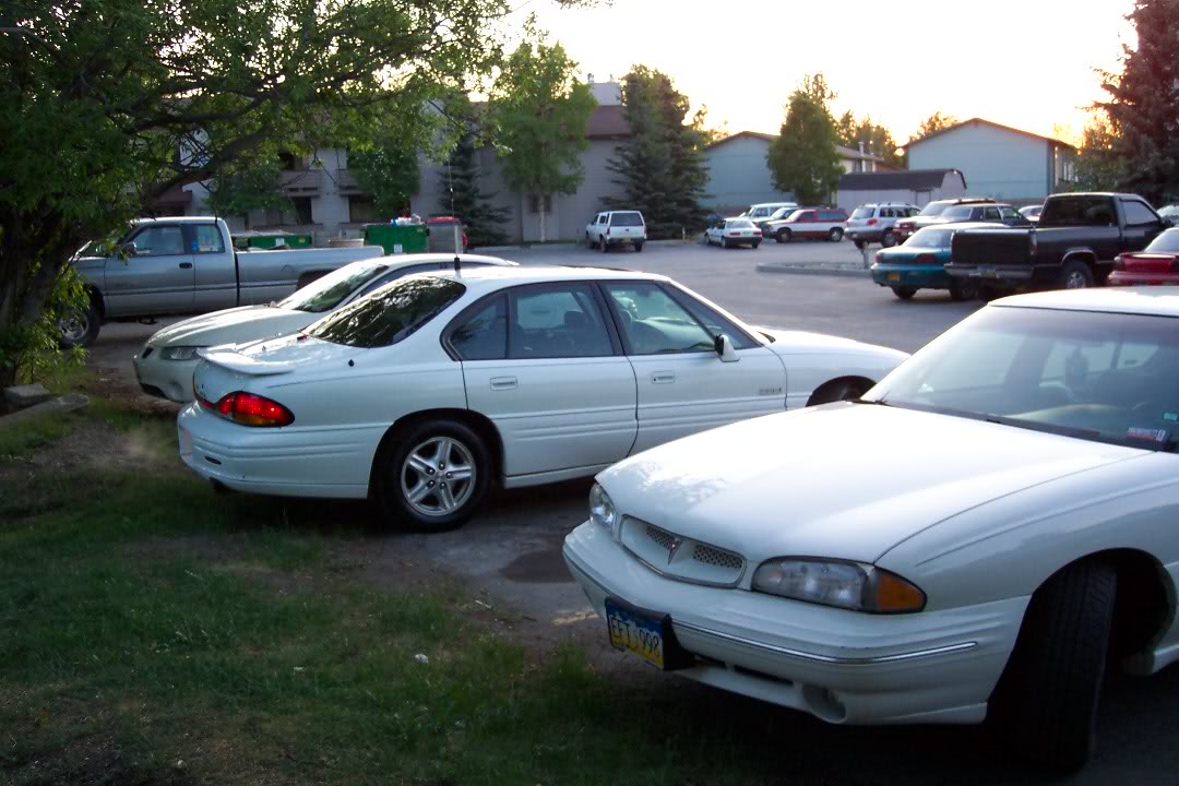 Name:  100_3464.jpg
Views: 24
Size:  134.7 KB