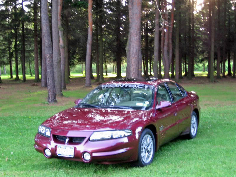 Name:  mini-Picture161_edited.jpg
Views: 31
Size:  118.2 KB