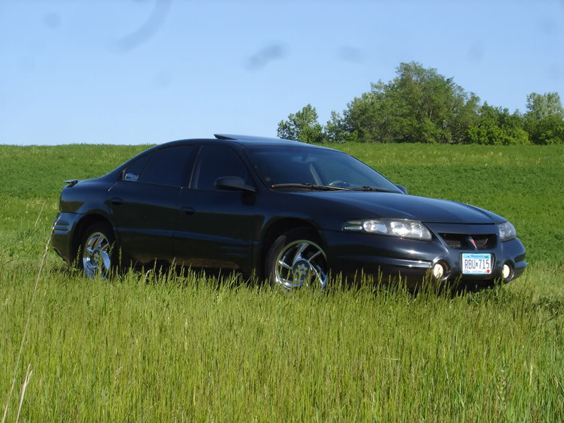 Name: DSC01981.jpg
Views: 34
Size: 111.9 KB