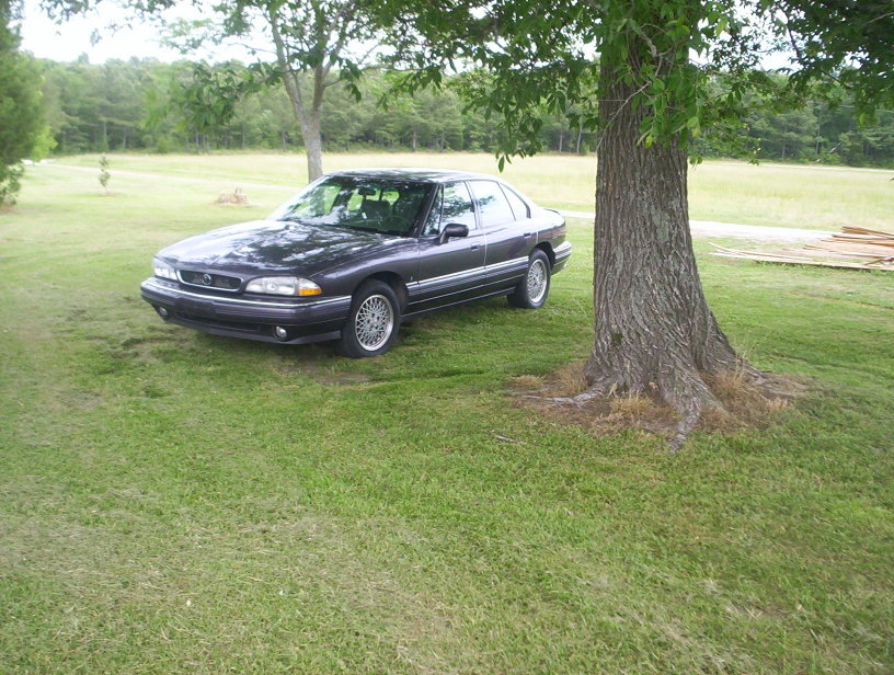 Name:  000_0773.jpg
Views: 27
Size:  166.8 KB