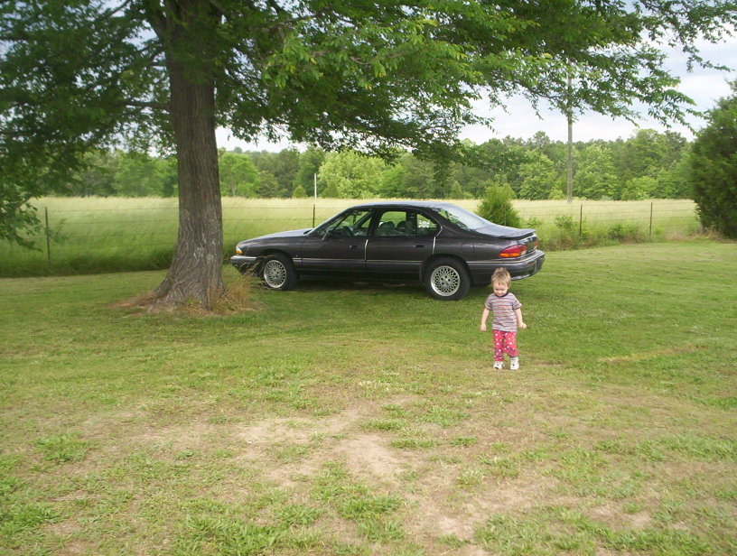 Name:  000_0772.jpg
Views: 48
Size:  168.9 KB