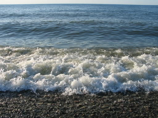 Name:  Img_0359.jpg
Views: 30
Size:  61.1 KB
