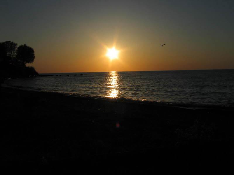 Name:  IMG_0424.jpg
Views: 30
Size:  21.3 KB
