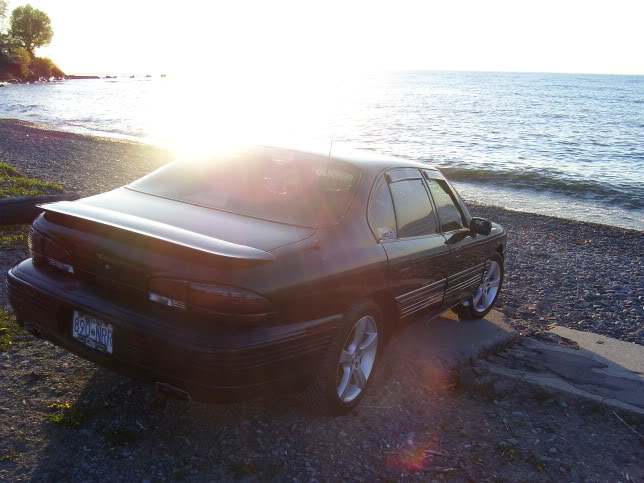 Name: peterG22000NYmeet40.jpg
Views: 55
Size: 63.5 KB
