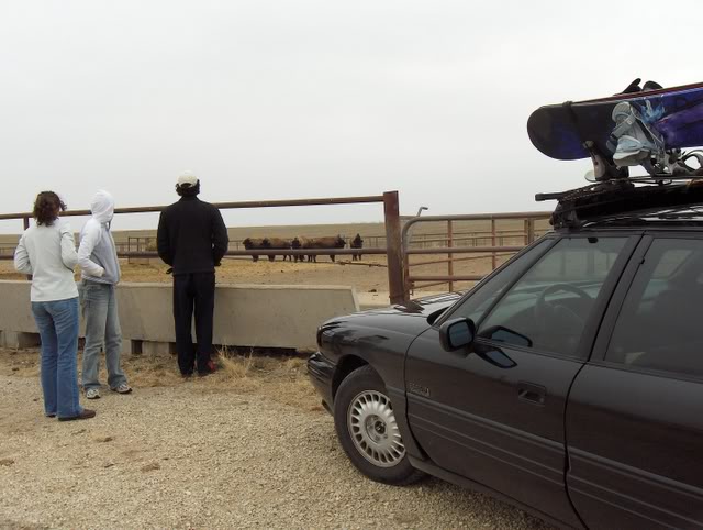 Name:  Colorado008.jpg
Views: 43
Size:  56.5 KB