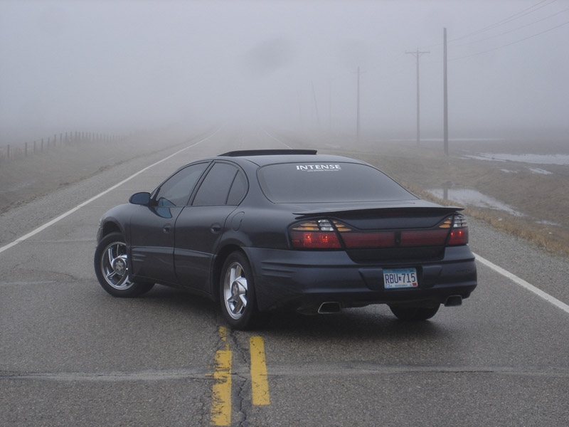 Name:  DSC00902.jpg
Views: 36
Size:  97.8 KB