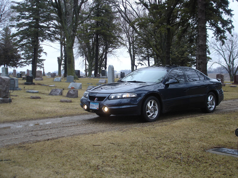 Name:  DSC00963.jpg
Views: 36
Size:  228.7 KB