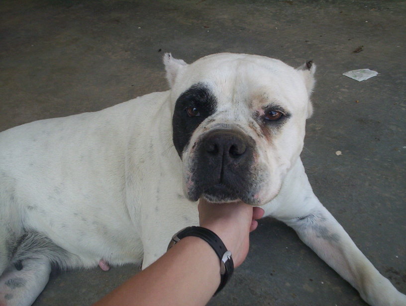 Name:  000_0611.jpg
Views: 31
Size:  76.8 KB
