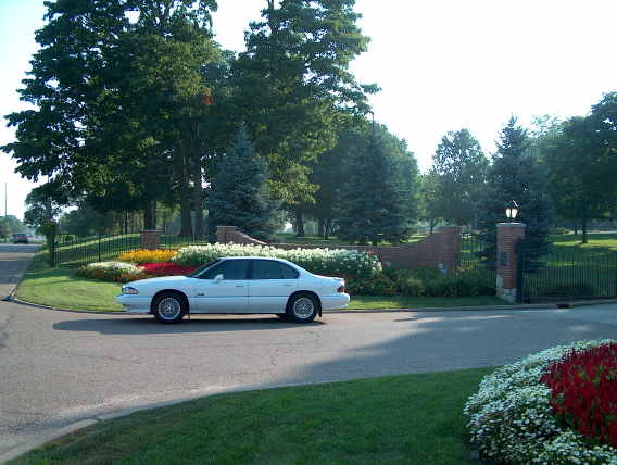 Name: BCCflowers040.jpg
Views: 26
Size: 46.7 KB