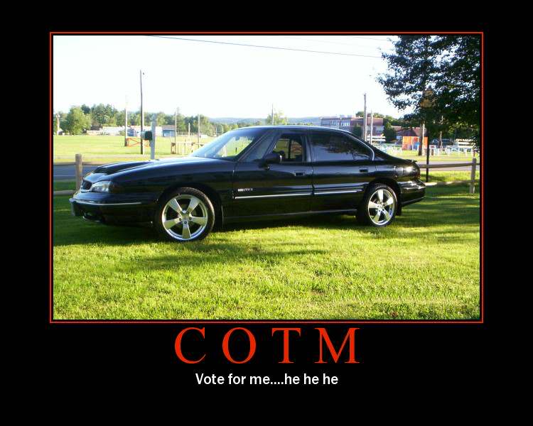 Name:  COTM2.jpg
Views: 48
Size:  57.1 KB