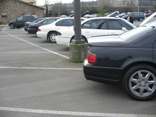 Name: SeattleBonnieMeet010.jpg
Views: 54
Size: 41.4 KB